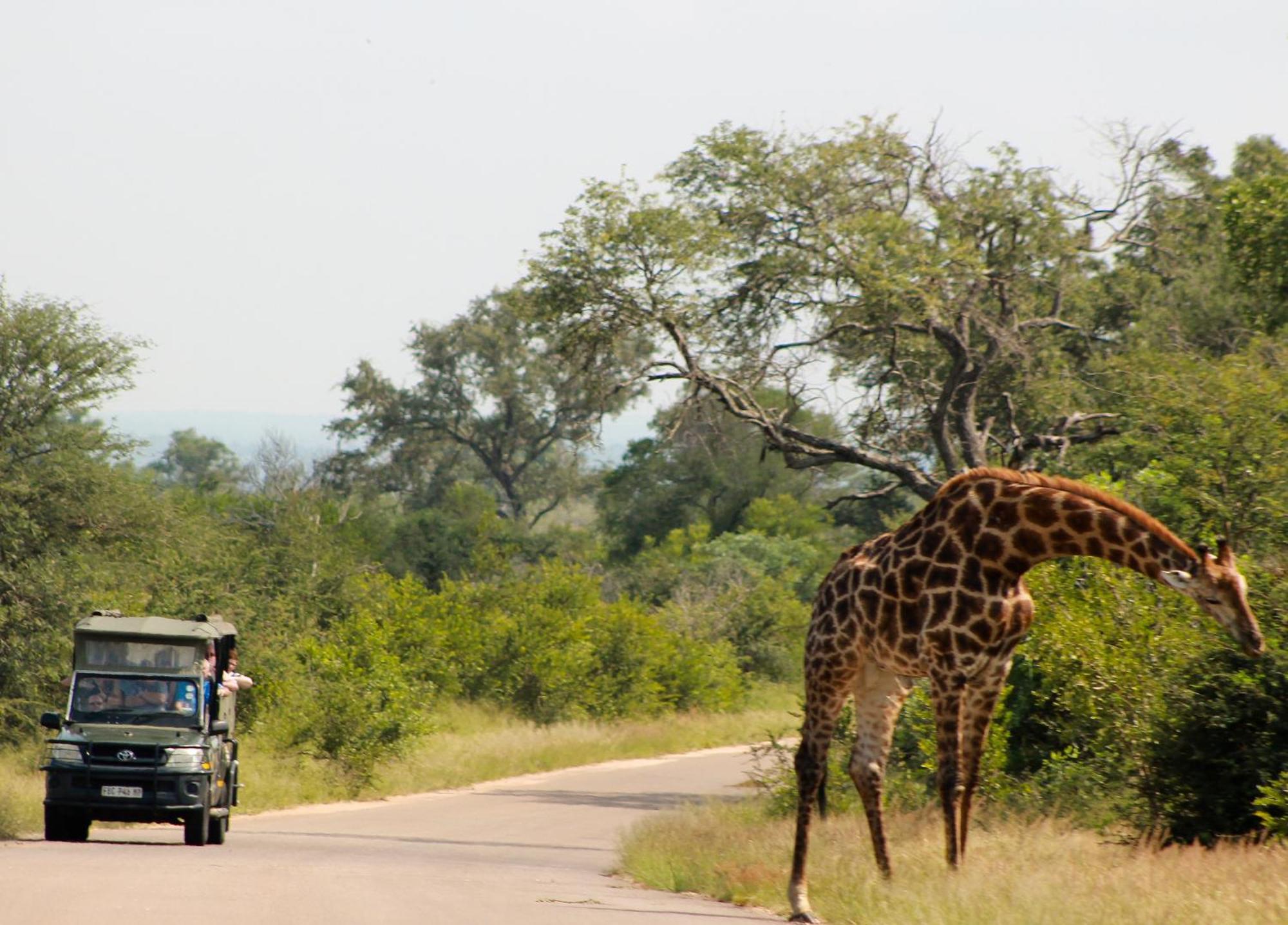 Aha Skukuza Safari Lodge Eksteriør billede