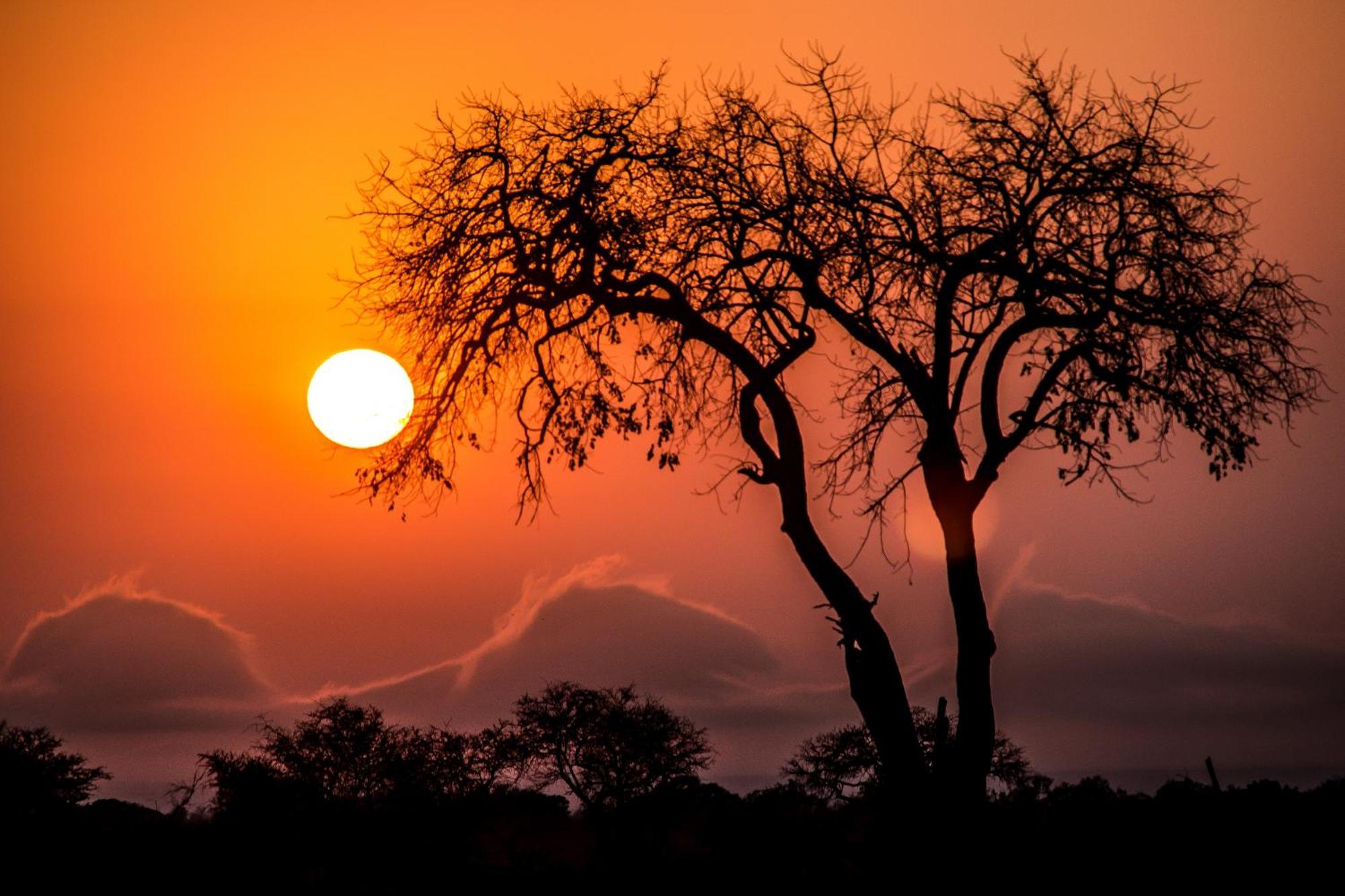 Aha Skukuza Safari Lodge Eksteriør billede